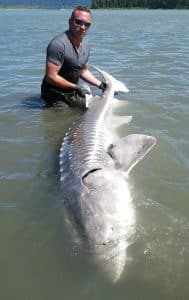 Sturgeon Fishing Guides Charters Vancouver, Chilliwack, Mission