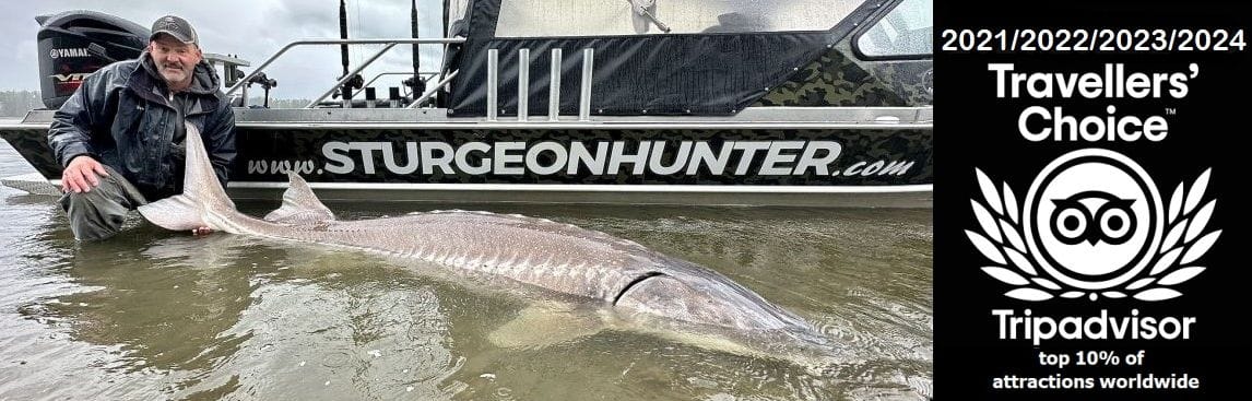 www.sturgeonhunter.com